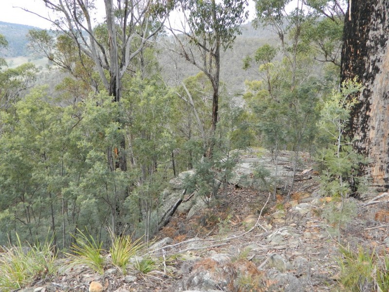0 Bluff Road, Elderslie TAS 7030