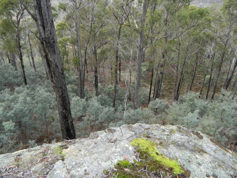 0 Bluff Road, Elderslie TAS 7030
