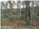 0 Bluff Road, Elderslie TAS 7030