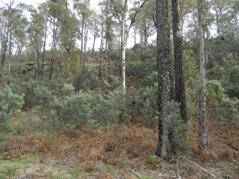 0 Bluff Road, Elderslie TAS 7030