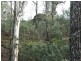0 Bluff Road, Elderslie TAS 7030