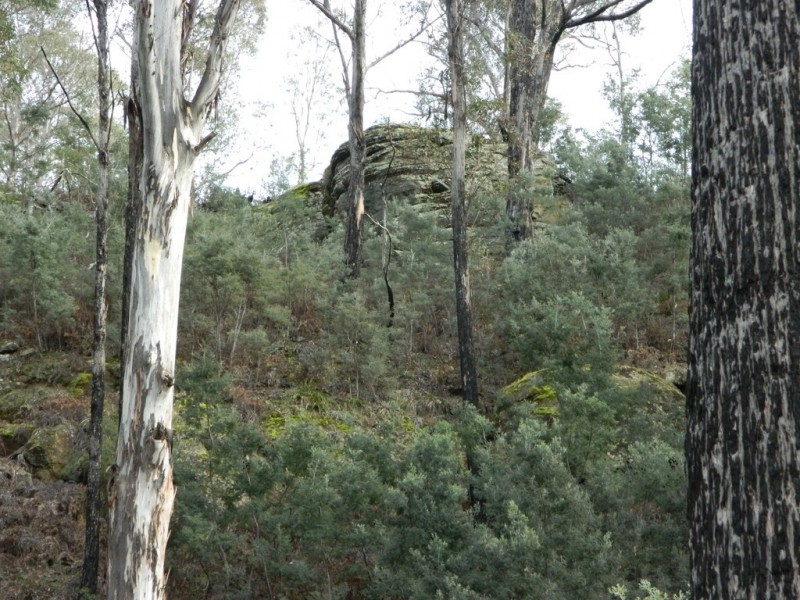 0 Bluff Road, Elderslie TAS 7030