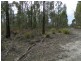0 Bluff Road, Elderslie TAS 7030