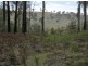0 Bluff Road, Elderslie TAS 7030