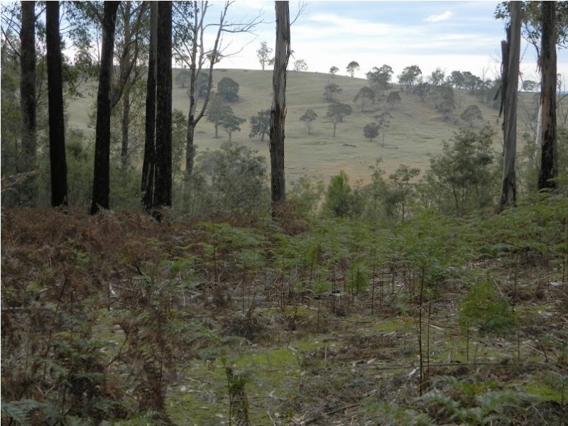 0 Bluff Road, Elderslie TAS 7030