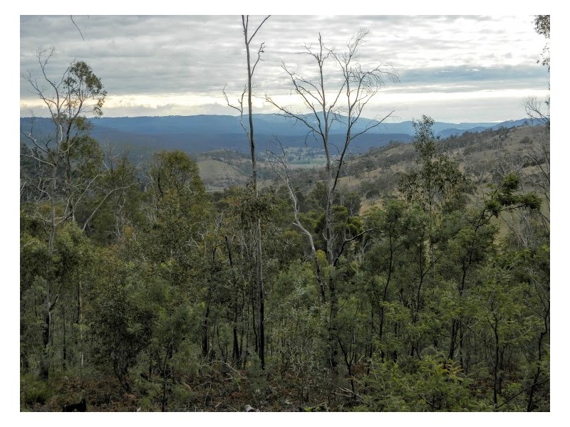 0 Bluff Road, Elderslie TAS 7030