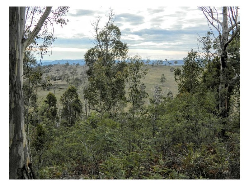 0 Bluff Road, Elderslie TAS 7030