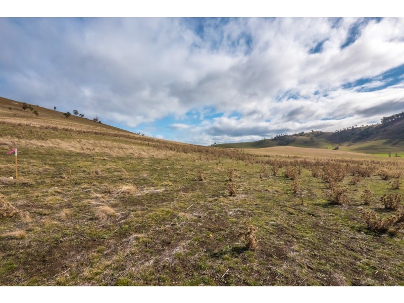 Lot 1, 984 Tea Tree Road, Tea Tree TAS 7017