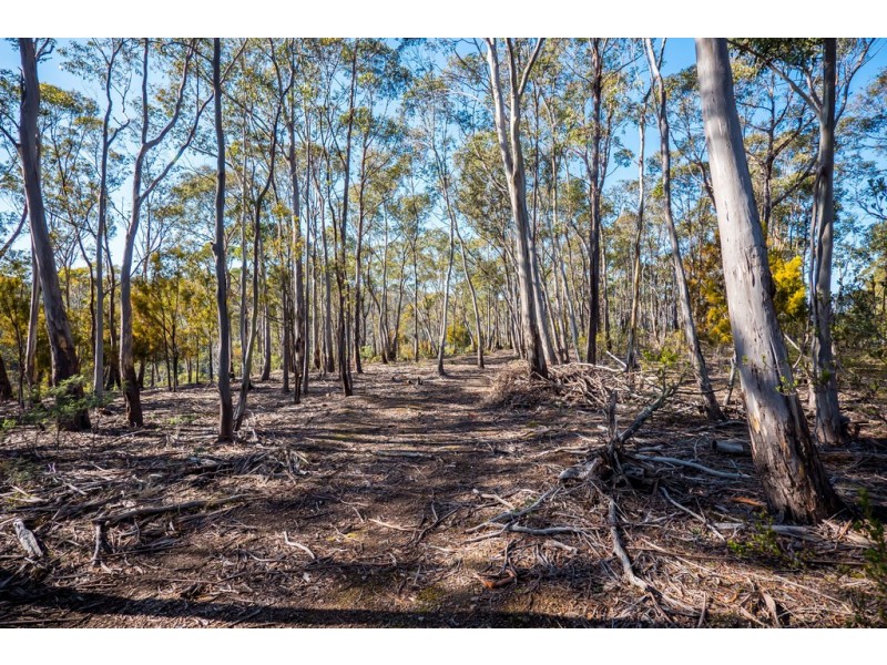 373a Church Road, Dromedary TAS 7030