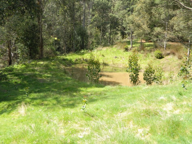 500 Jefferys Track, Lachlan TAS 7140