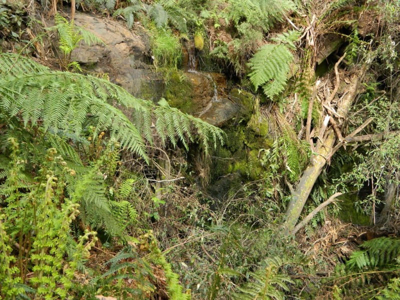 500 Jefferys Track, Lachlan TAS 7140