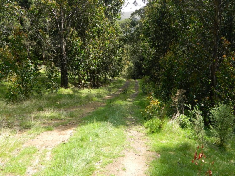 500 Jefferys Track, Lachlan TAS 7140