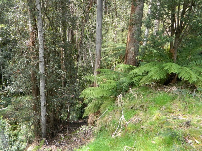 500 Jefferys Track, Lachlan TAS 7140