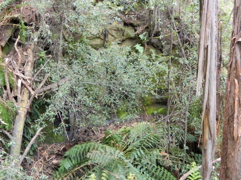 500 Jefferys Track, Lachlan TAS 7140