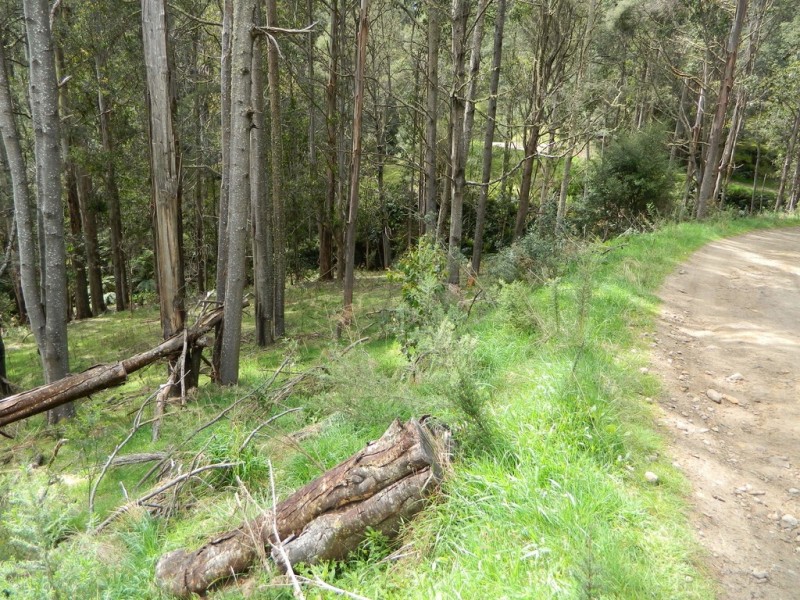 500 Jefferys Track, Lachlan TAS 7140