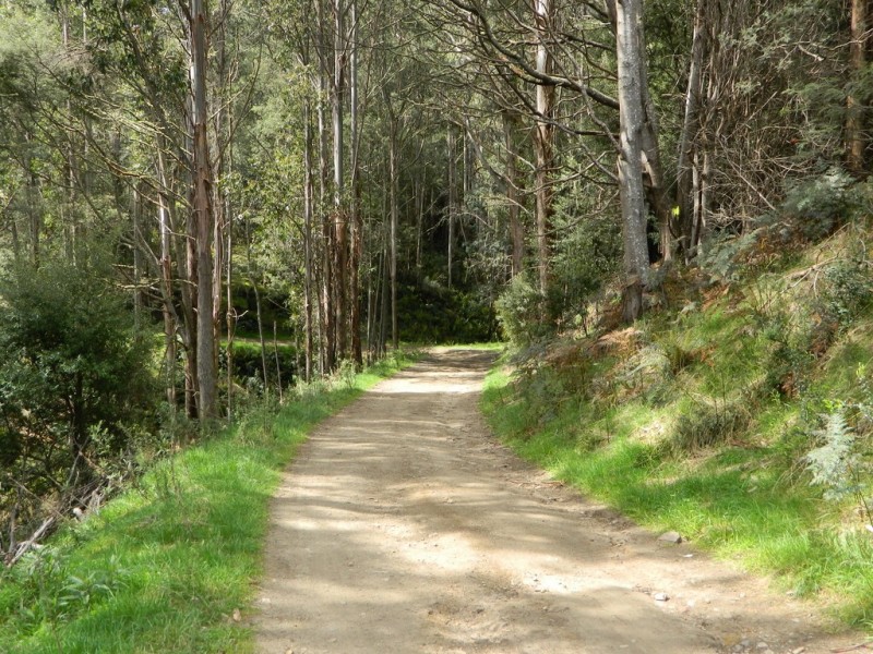 500 Jefferys Track, Lachlan TAS 7140