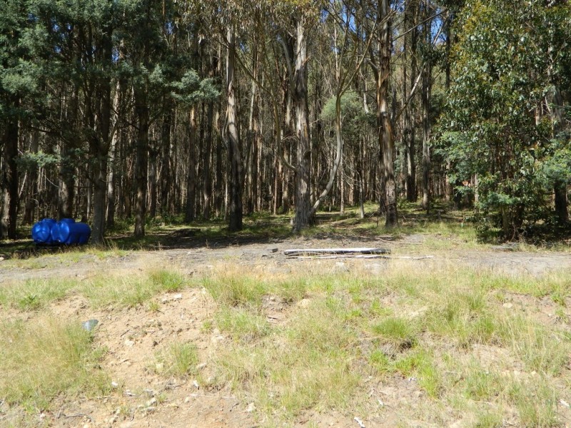 500 Jefferys Track, Lachlan TAS 7140