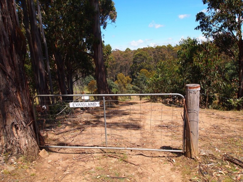 507 Mount Lloyd Road, Mount Lloyd TAS 7140