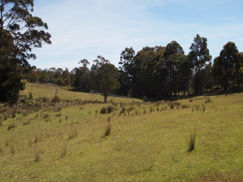 507 Mount Lloyd Road, Mount Lloyd TAS 7140