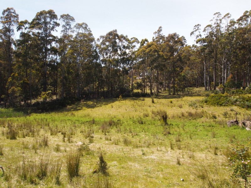 507 Mount Lloyd Road, Mount Lloyd TAS 7140