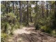 507 Mount Lloyd Road, Mount Lloyd TAS 7140