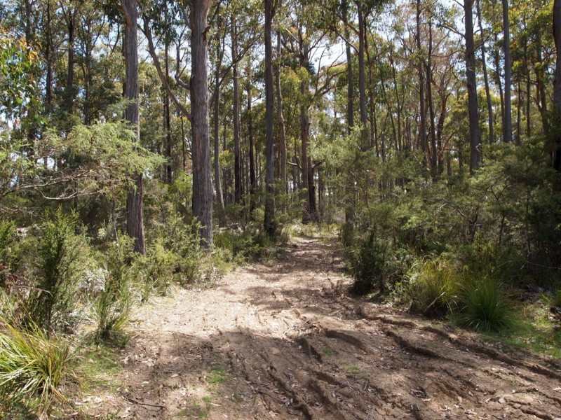 507 Mount Lloyd Road, Mount Lloyd TAS 7140