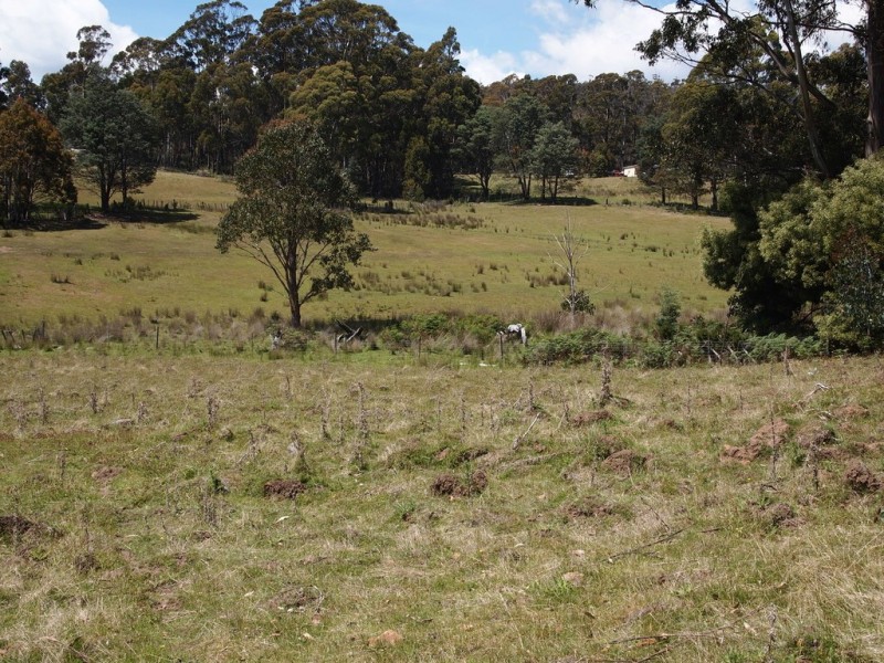 507 Mount Lloyd Road, Mount Lloyd TAS 7140