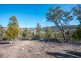 Lot 1 Link Road, Colebrook TAS 7027