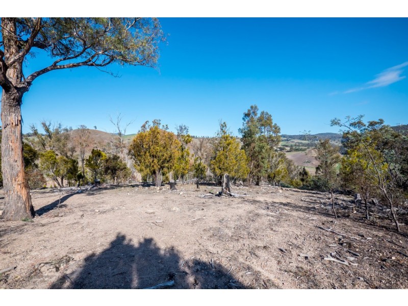 Lot 1 Link Road, Colebrook TAS 7027