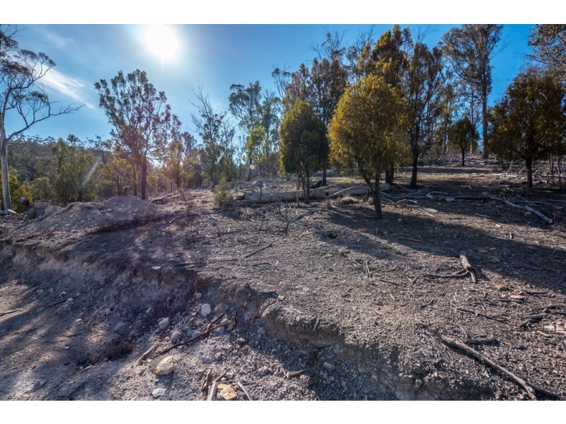Lot 1 Link Road, Colebrook TAS 7027