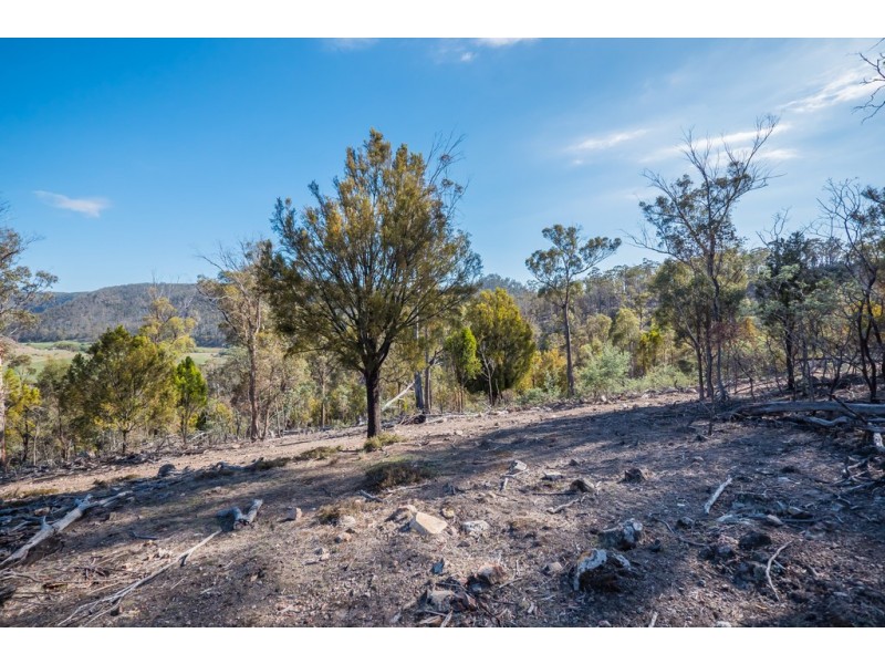 Lot 1 Link Road, Colebrook TAS 7027