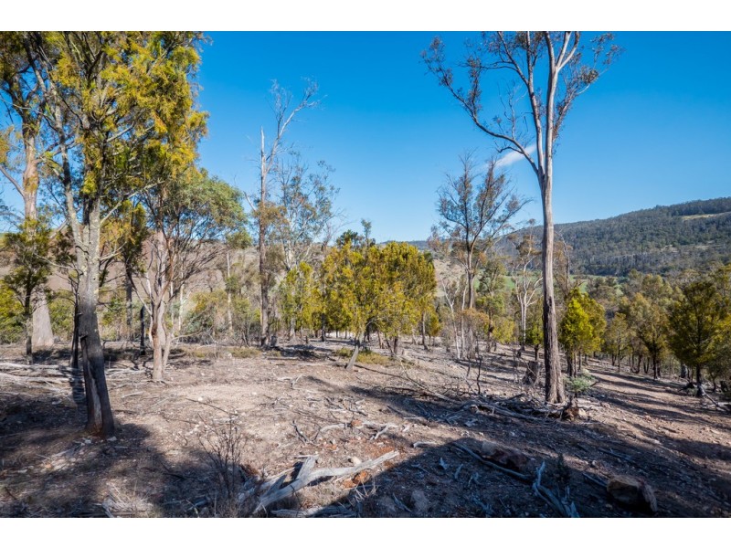 Lot 1 Link Road, Colebrook TAS 7027