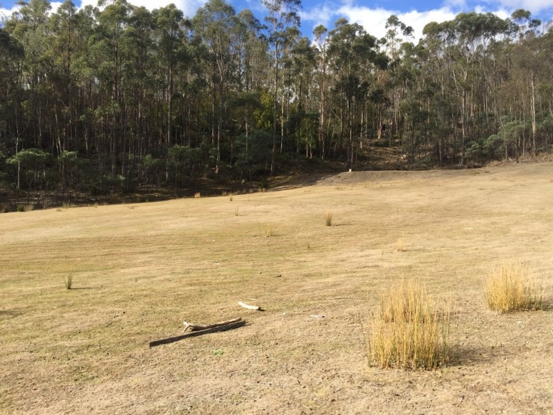 318 Wyre Forest Road, Molesworth TAS 7140