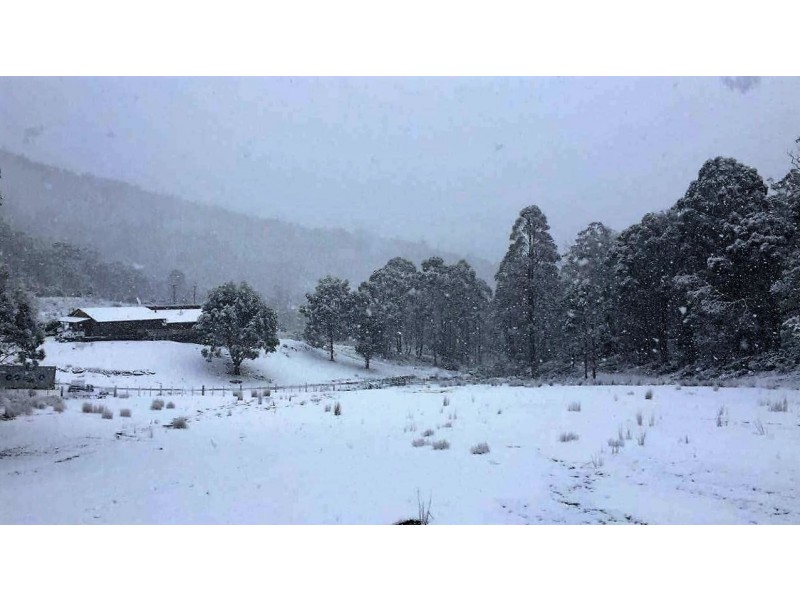 318 Wyre Forest Road, Molesworth TAS 7140