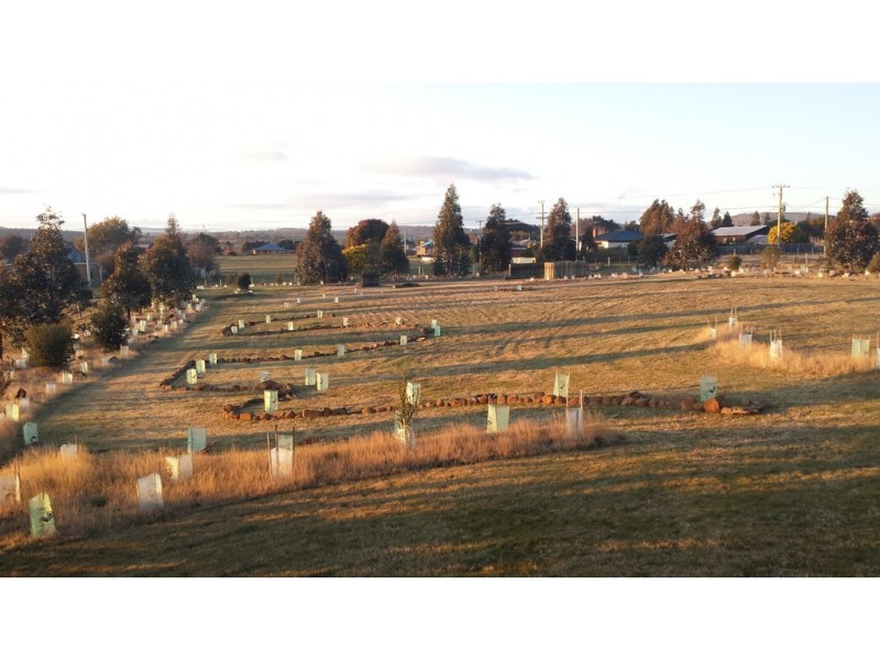 18 Marlborough Street, Oatlands TAS 7120