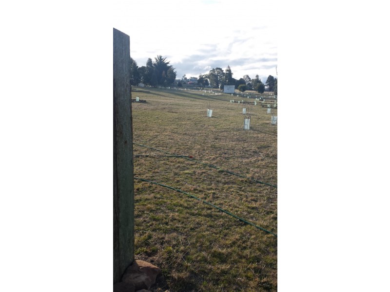 18 Marlborough Street, Oatlands TAS 7120