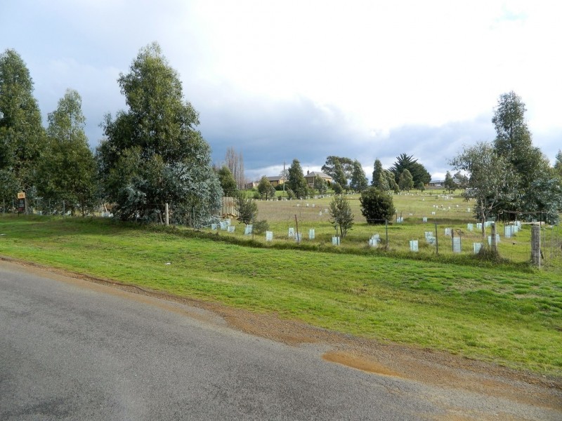 18 Marlborough Street, Oatlands TAS 7120