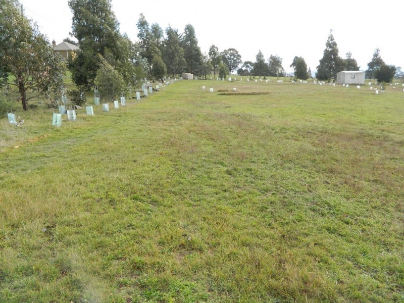 18 Marlborough Street, Oatlands TAS 7120