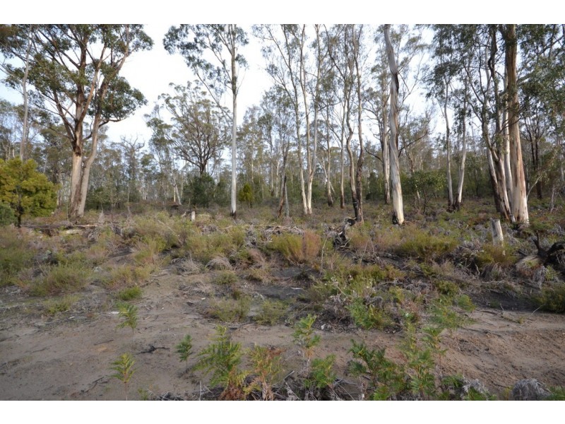 572 Huntingdon Tier Road, Bagdad TAS 7030