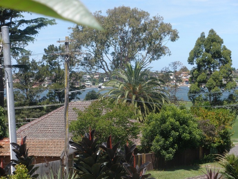 45 ALLAWAH AVENUE, Carss Park NSW 2221