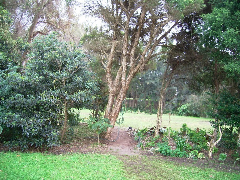 Bardwell Valley NSW 2207