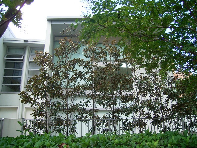 176/555 PRINCES HWY, Rockdale NSW 2216