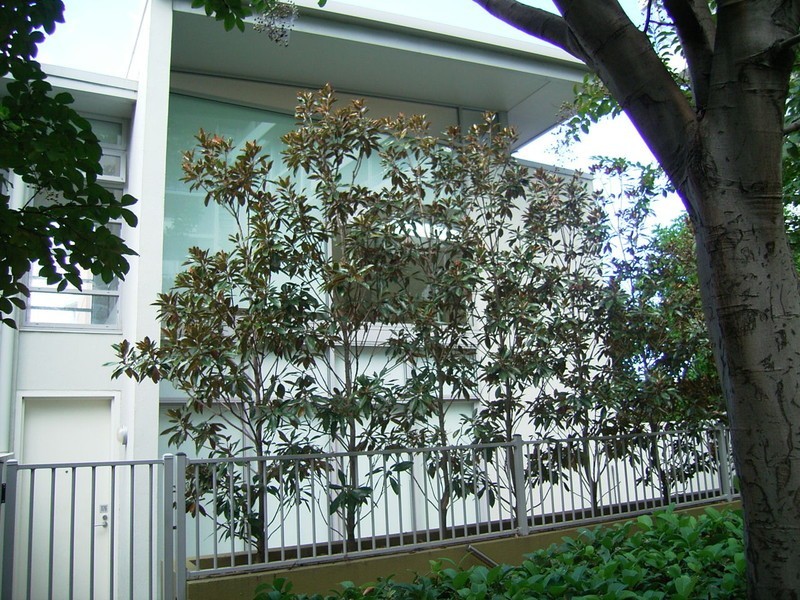 176/555 PRINCES HWY, Rockdale NSW 2216