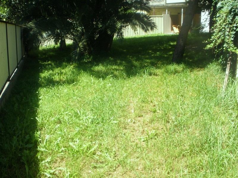 Bexley North NSW 2207