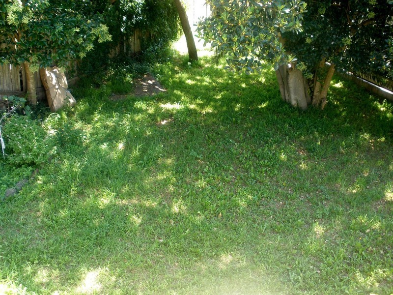 Bexley North NSW 2207