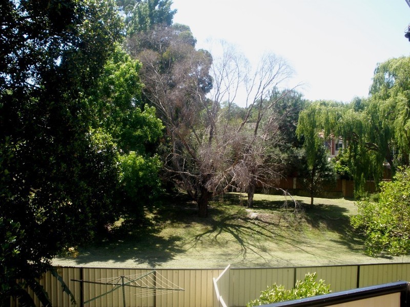 Bexley North NSW 2207