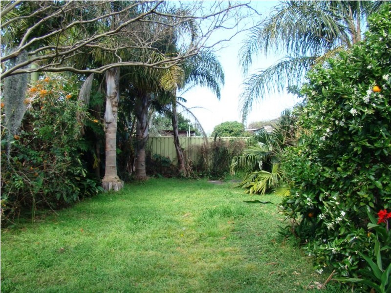 58 Northcote Street, Canterbury NSW 2193