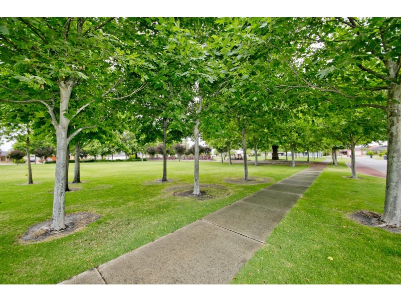 12 Capensia Way, Canning Vale WA 6155