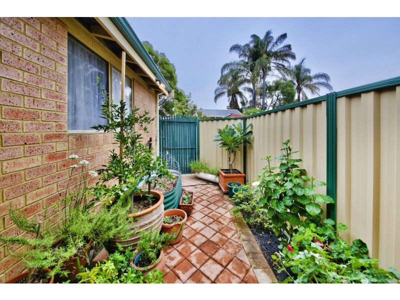 11 Blair Road, Yokine WA 6060