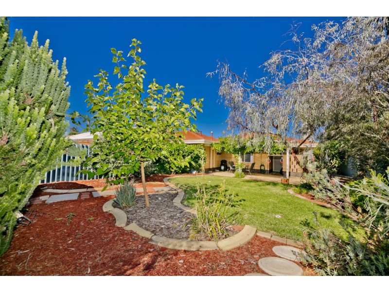 8 Phillips Street, Dianella WA 6059